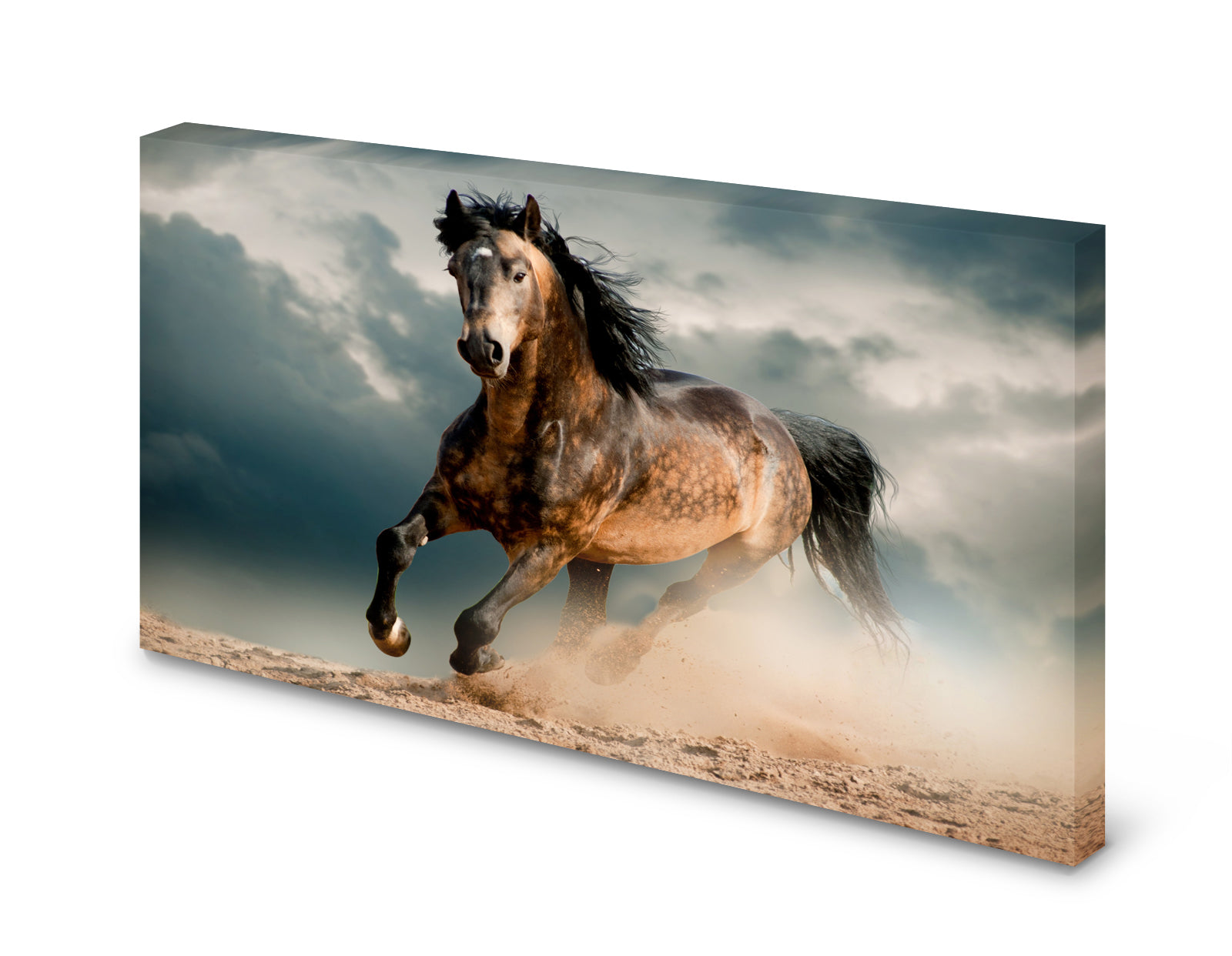 pn0278-60x40-magnettafel-pinnwand-bild-pferd-galoppxchhnoyoepbam
