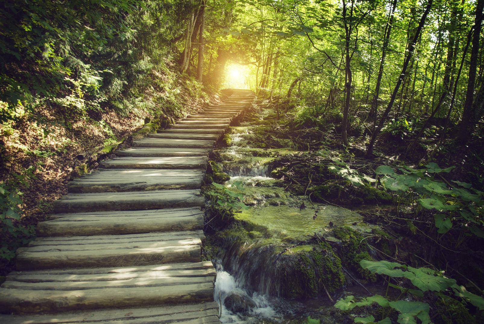 pn0284-60x40-magnettafel-pinnwand-bild-wald-treppe-lichtung