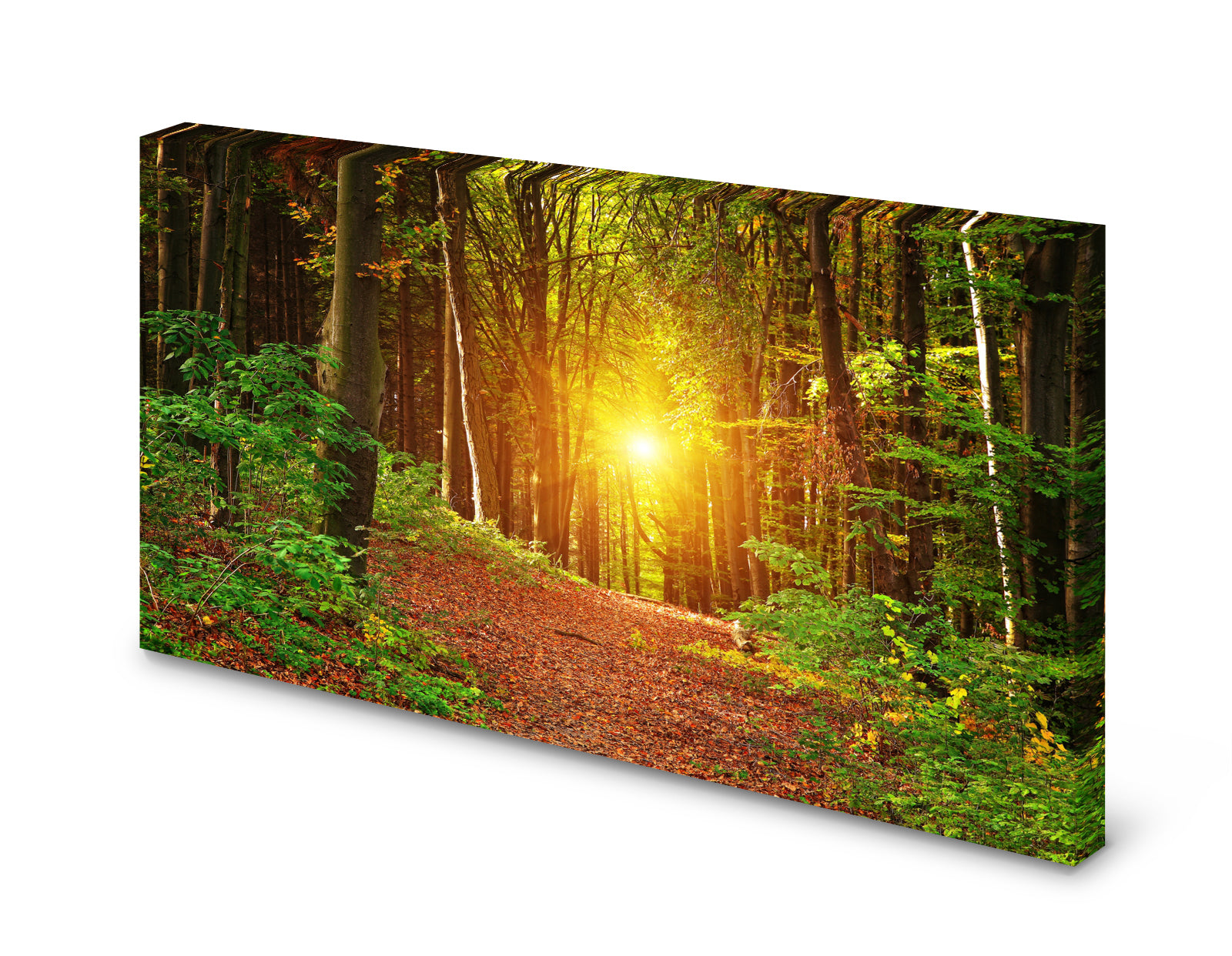 pn0288-60x40-magnettafel-pinnwand-bild-wald-lichtung-sonnerjvere5nfmo2u