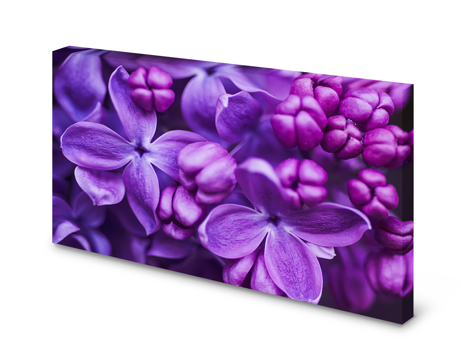 pn0292-60x40-magnettafel-pinnwand-bild-flieder-blute-blume-lilazamaf5trn1kac