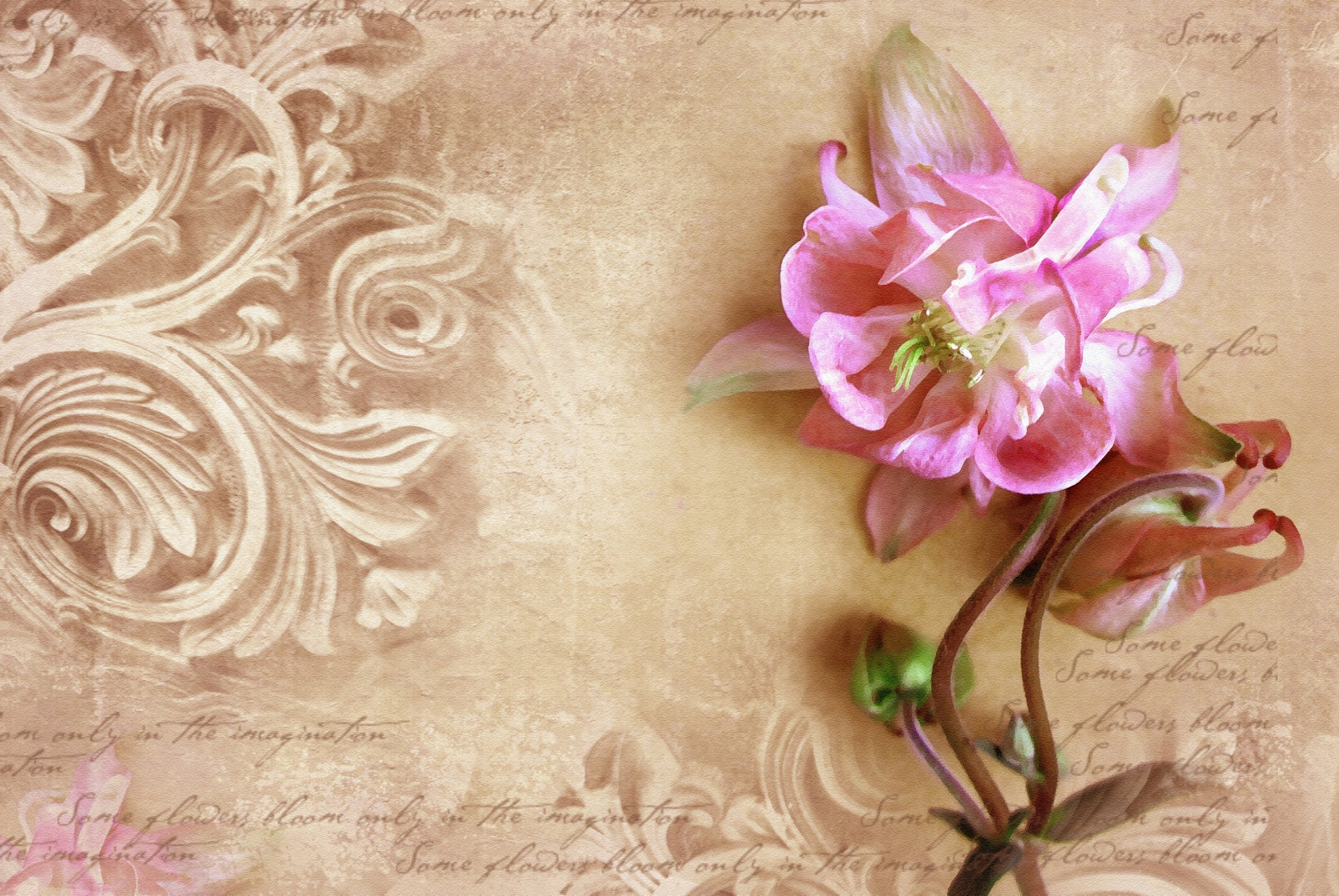 pn0295-60x40-magnettafel-pinnwand-bild-blume