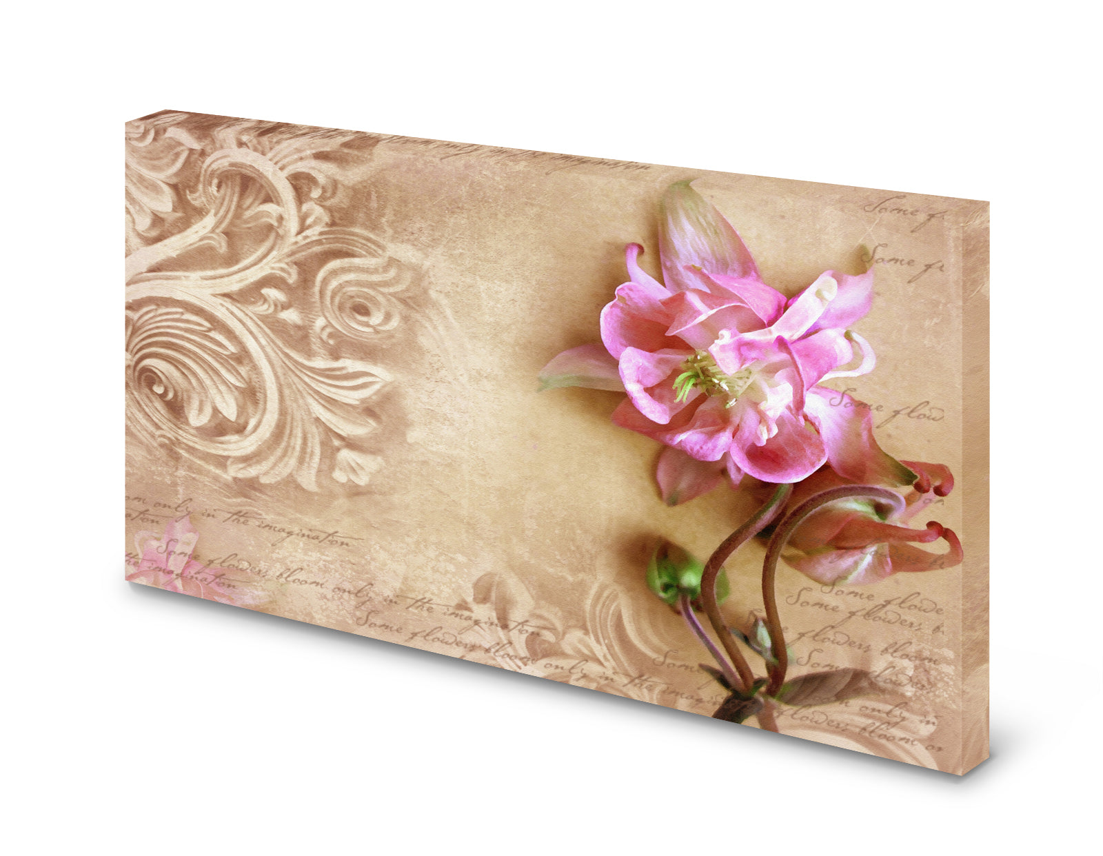 pn0295-60x40-magnettafel-pinnwand-bild-blumesjeomp4yva0tb