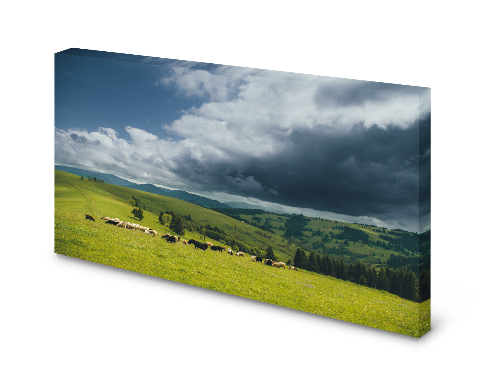 pn0296-60x40-magnettafel-pinnwand-bild-schaf-weide-herde1pdeyxopyqtzw