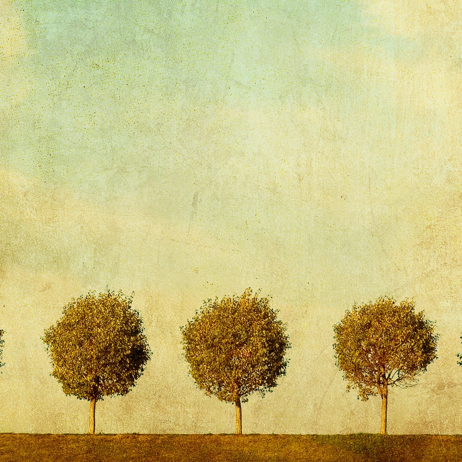 pn0302-50x50