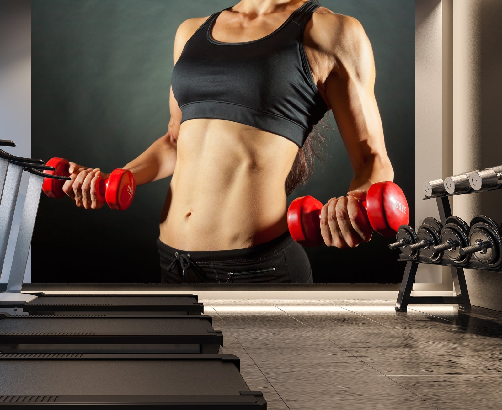 tap0375-1000-x-750-poster-vliestapete-fototapete-vlies-frau-hanteln-fitness-ir1