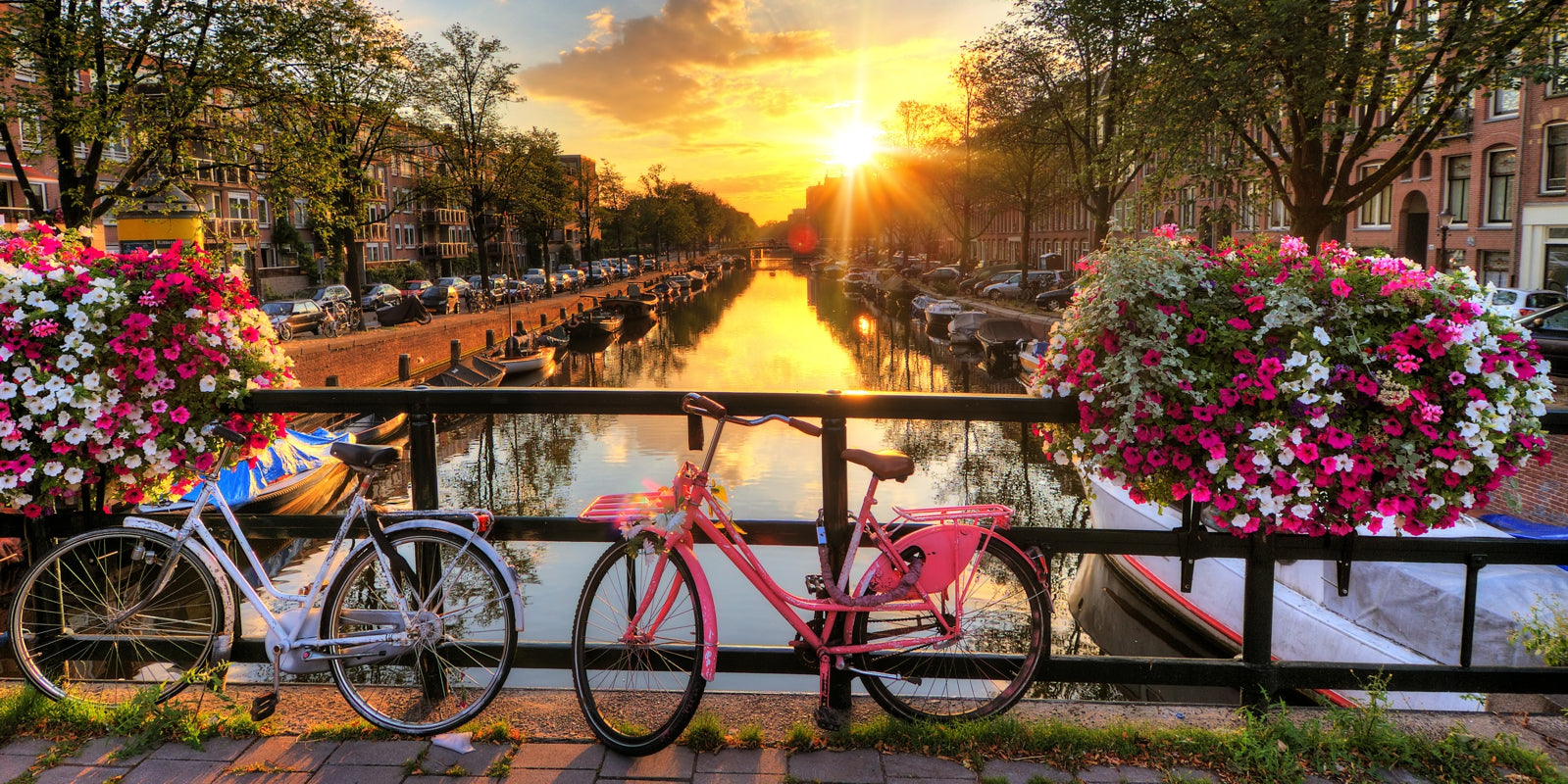 tap0507-vlies-tapete-fototapete-holland-fahrrad-1000x500