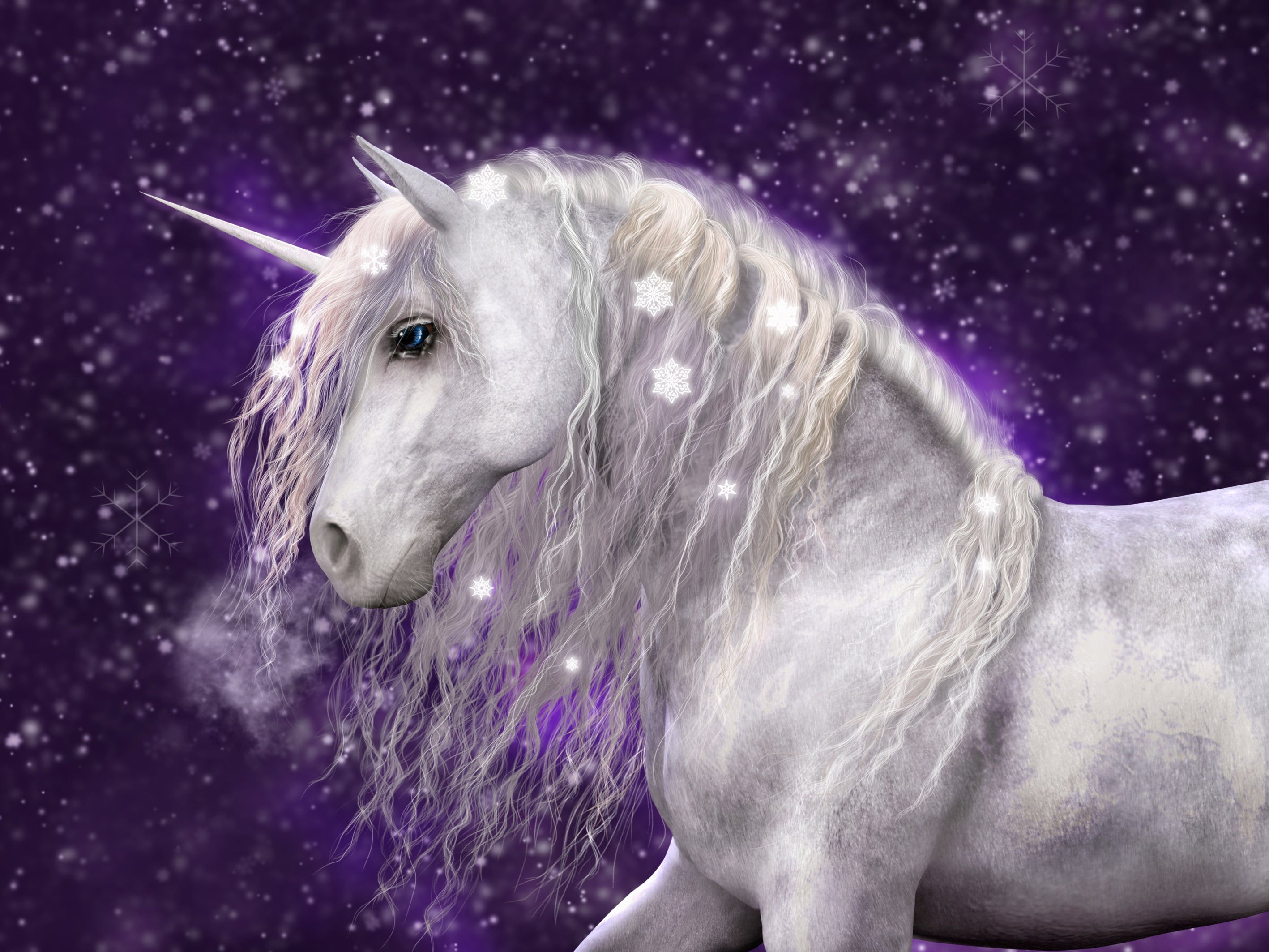 tap0561-1000x750-vliestapete-tapete-einhorn-lila-glitzer-m-dchen-fototapete