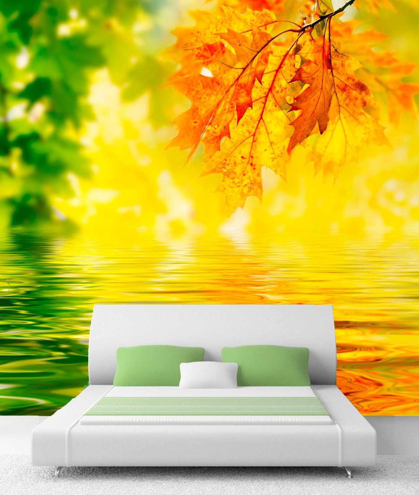 006-fototapete-poster-vlies-herbst-sonne-wald-indian-summer-3