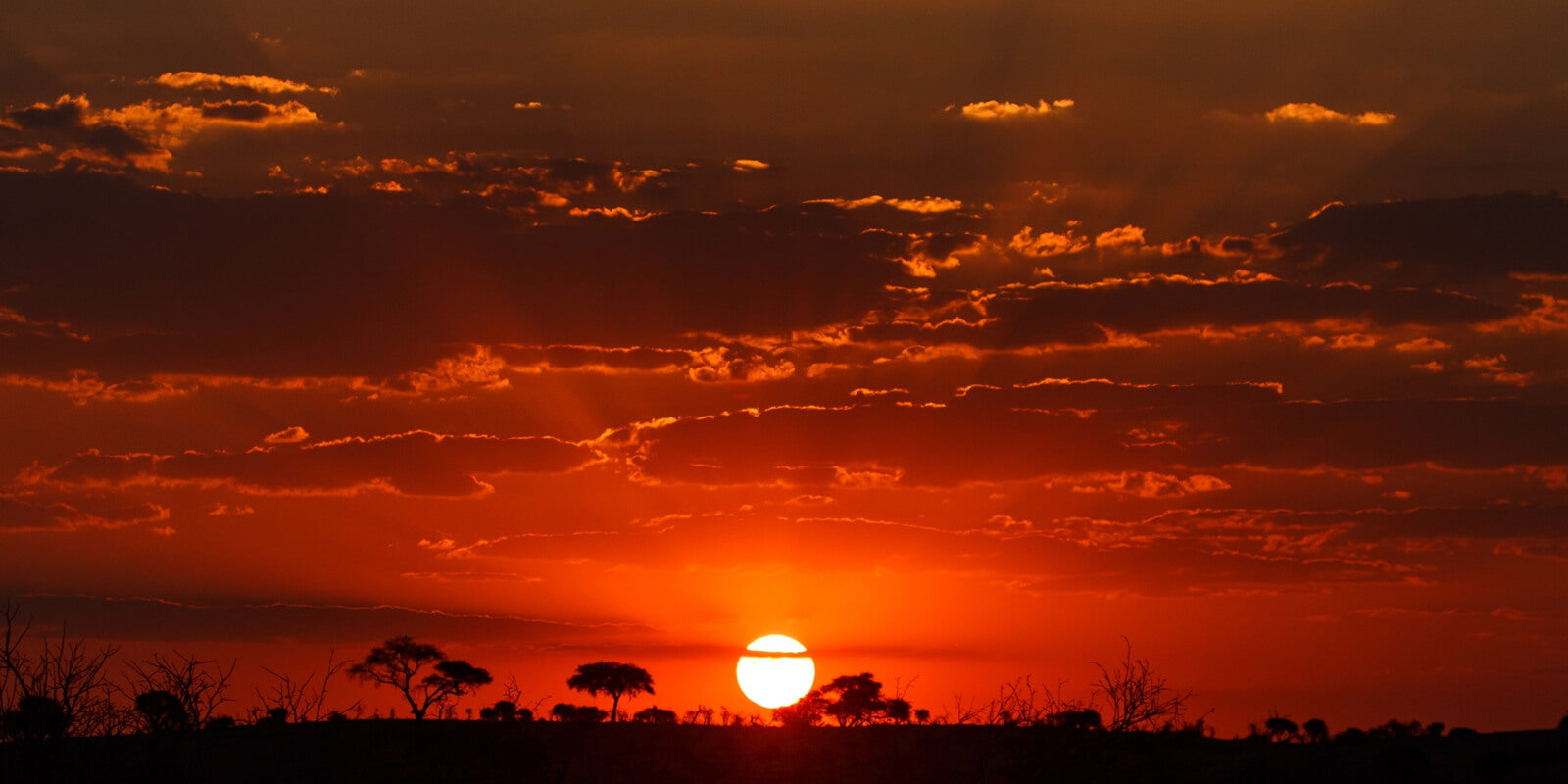 0062-1000-500-tapete-sonnenuntergang