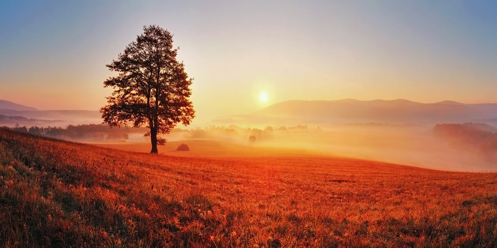 0070-1000-x-500-feld-herbst-sonne