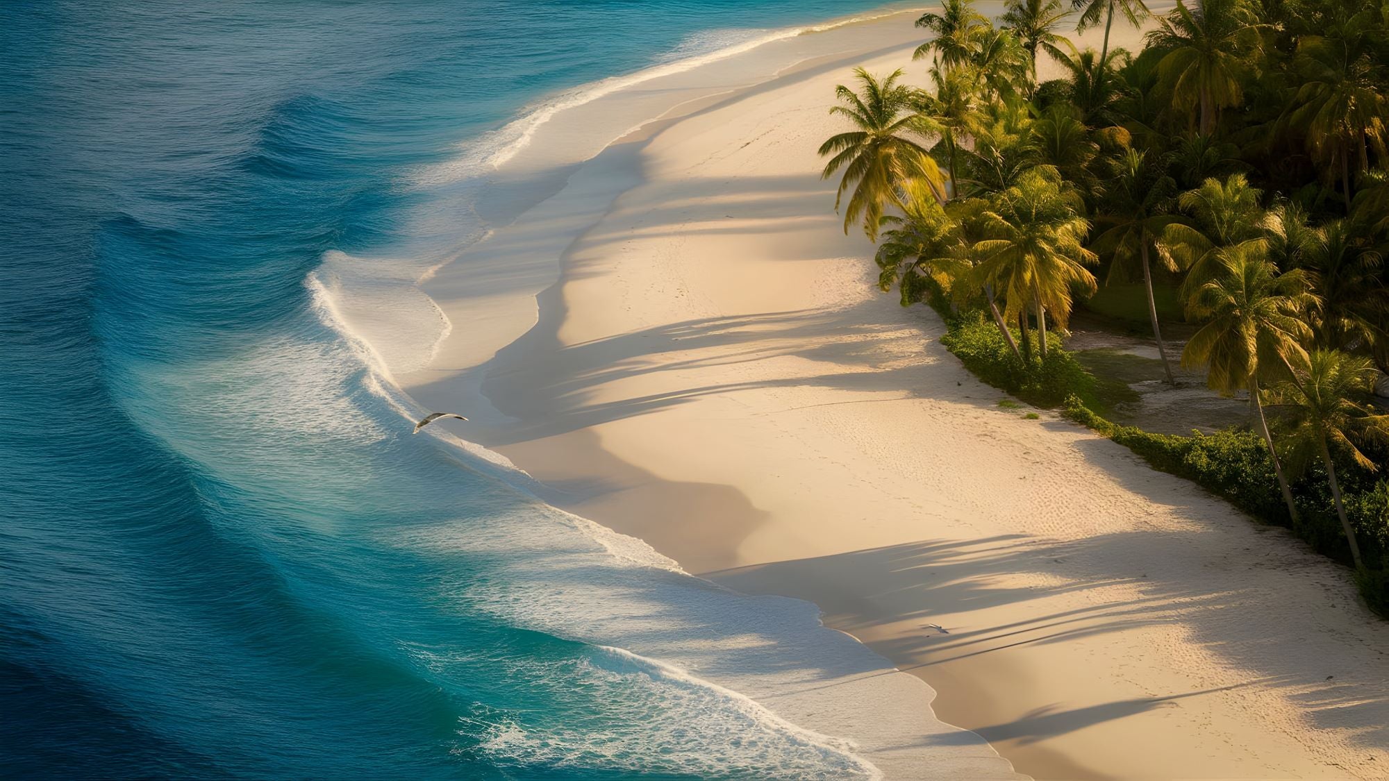 Vlies Tapete XXL Poster Fototapete Insel Palmen Strand blaues Wasser