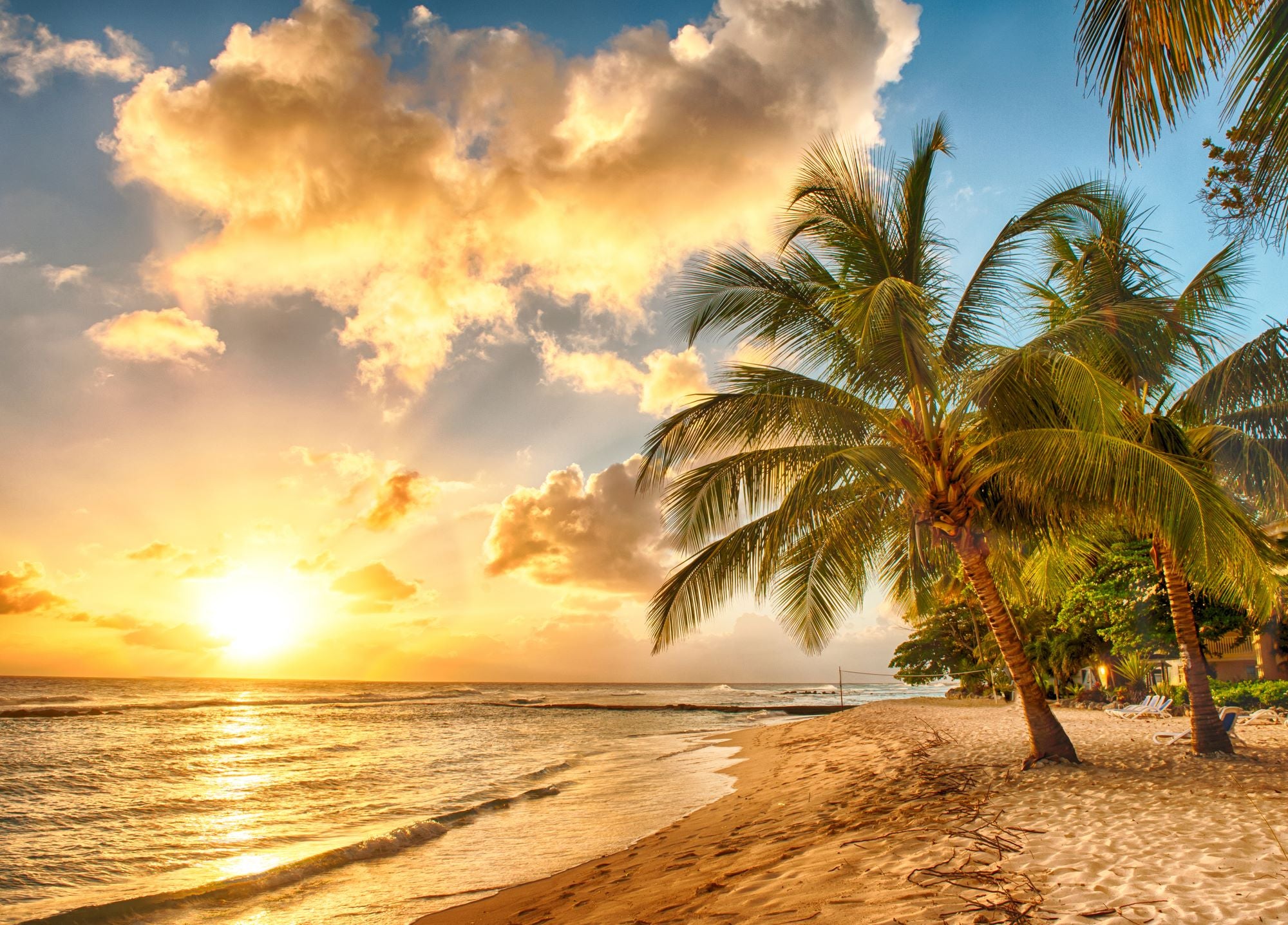 Vlies Tapete XXL Poster Fototapete Strand Palme Sonnenuntergang