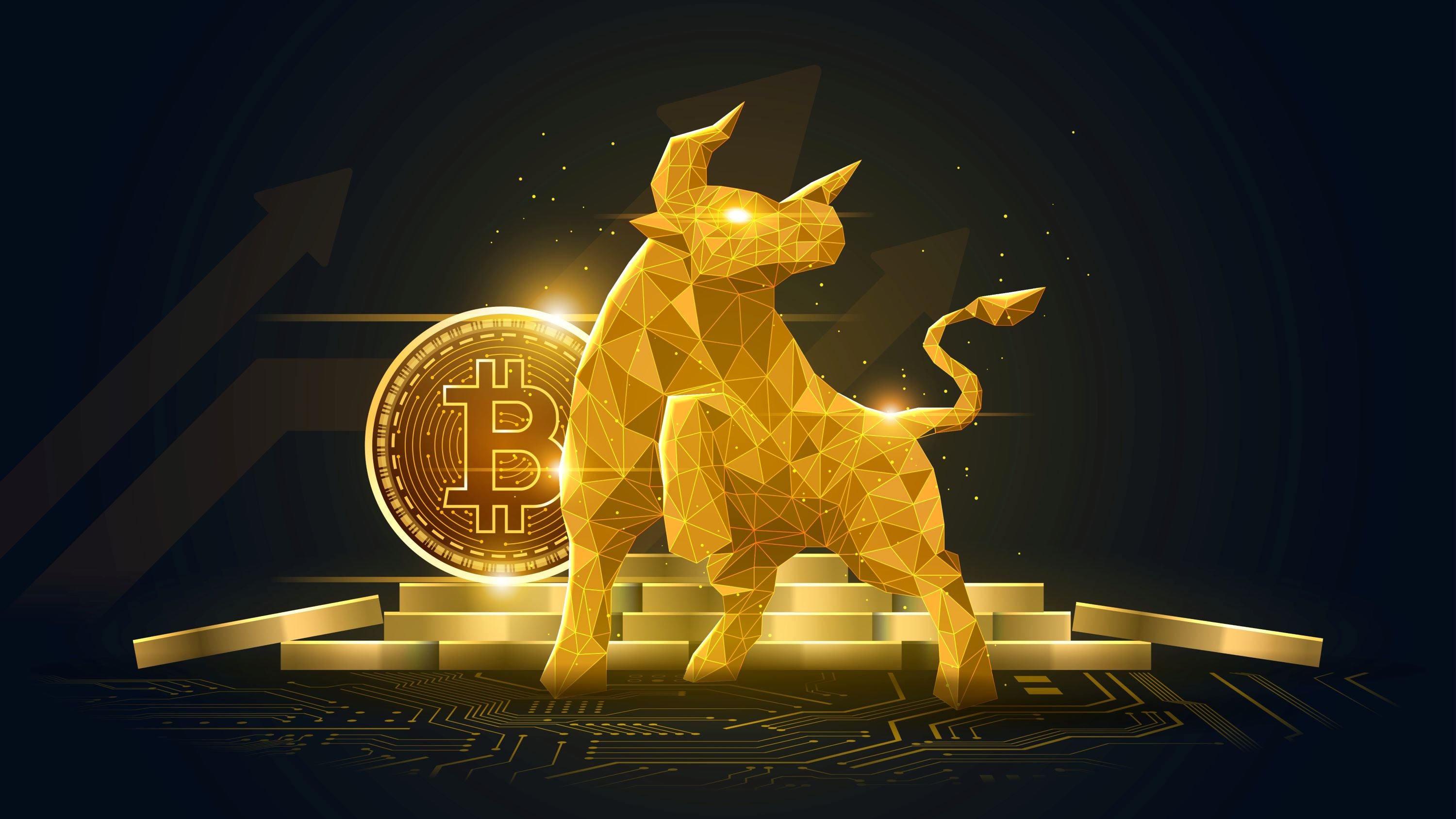 SKU 00495 k Fototapete Bitcoin Stier Gold