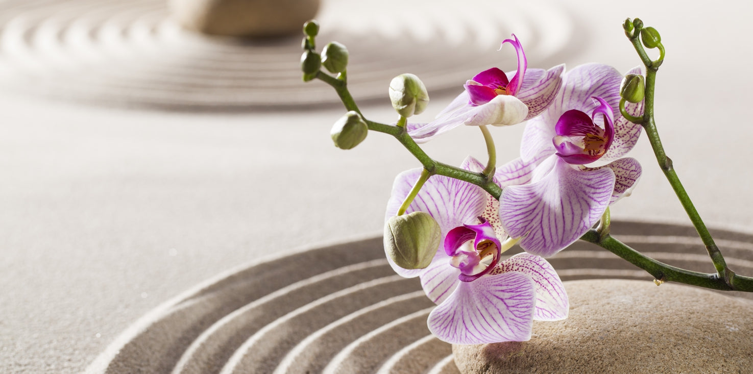 p0056-magnettafel-pinnwand-magnetbild-orchidee-sand-steine