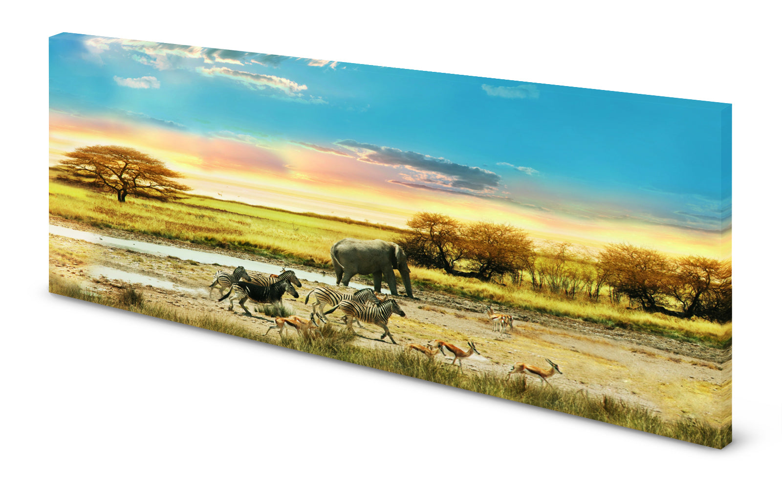 p0058-magnettafel-pinnwand-magnetbild-afrika-wildtierenyhcgsdjic2u9