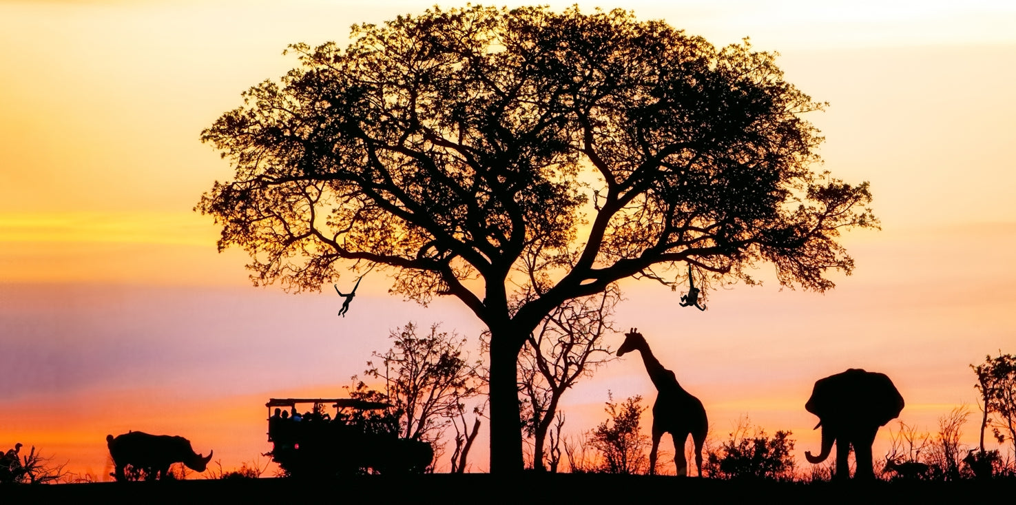 p0085-magnettafel-pinnwand-magnetbild-afrika-savanne-tiere