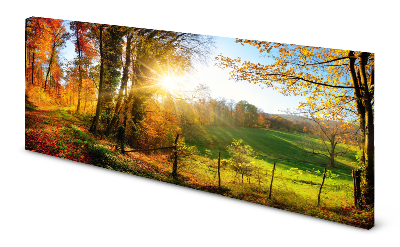 p0088-magnettafel-pinnwand-magnetbild-natur-herbst-waldrand0yjjq9lfvbdio