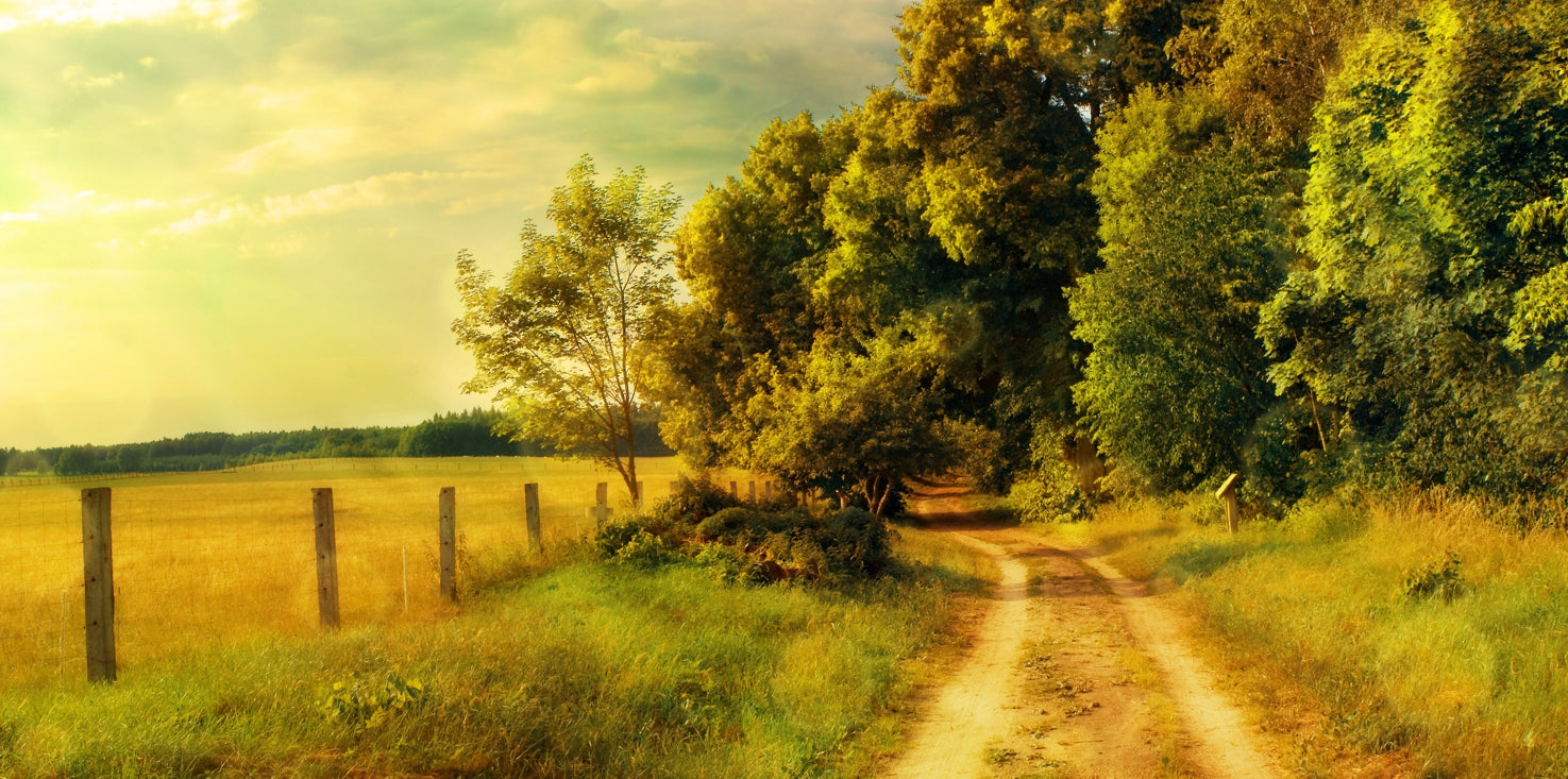 p0124-magnettafel-pinnwand-bild-natur-feldweg