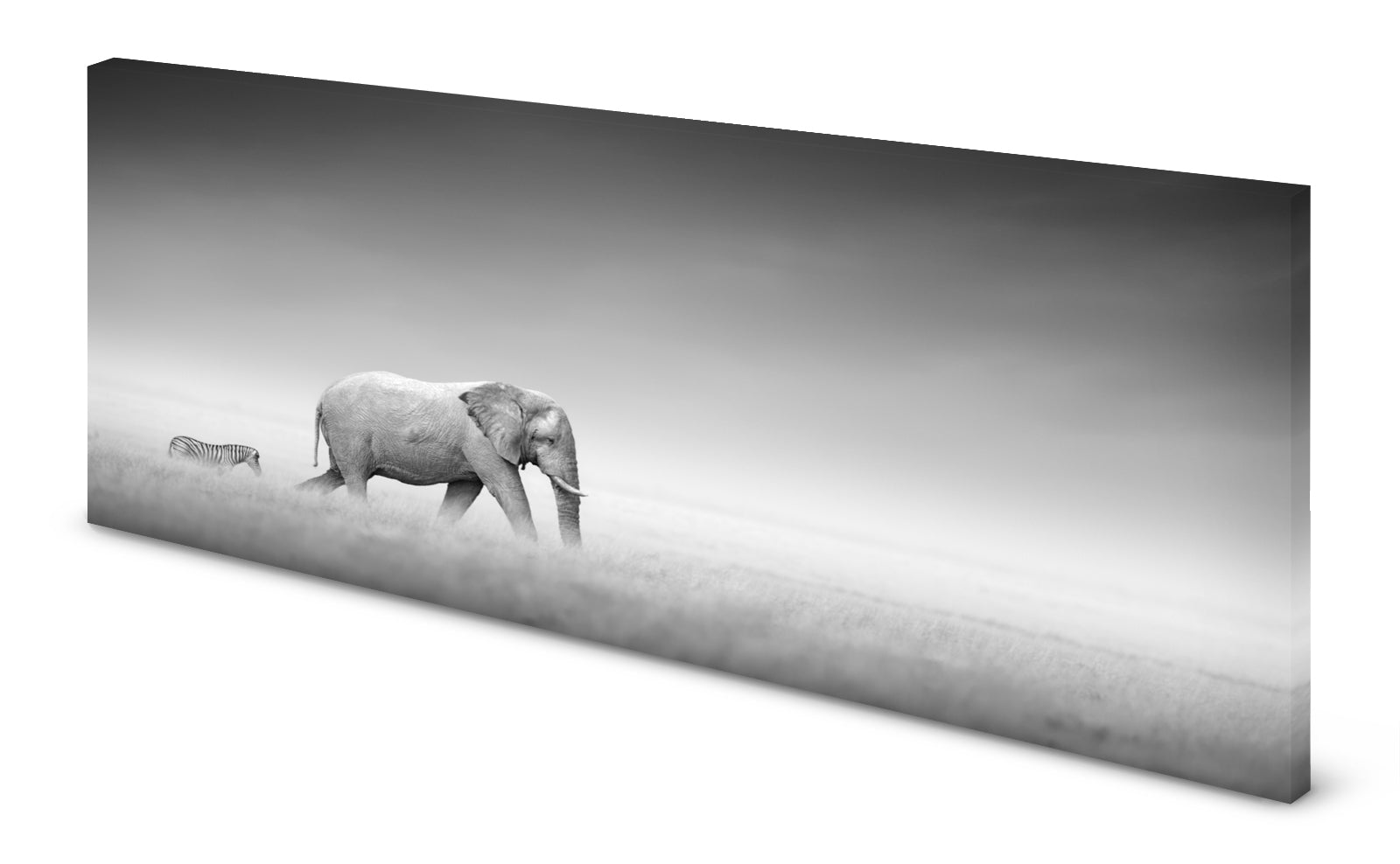 p0144sw-magnettafel-pinnwand-bild-elefant-zebra-steppeafudyrqevymer