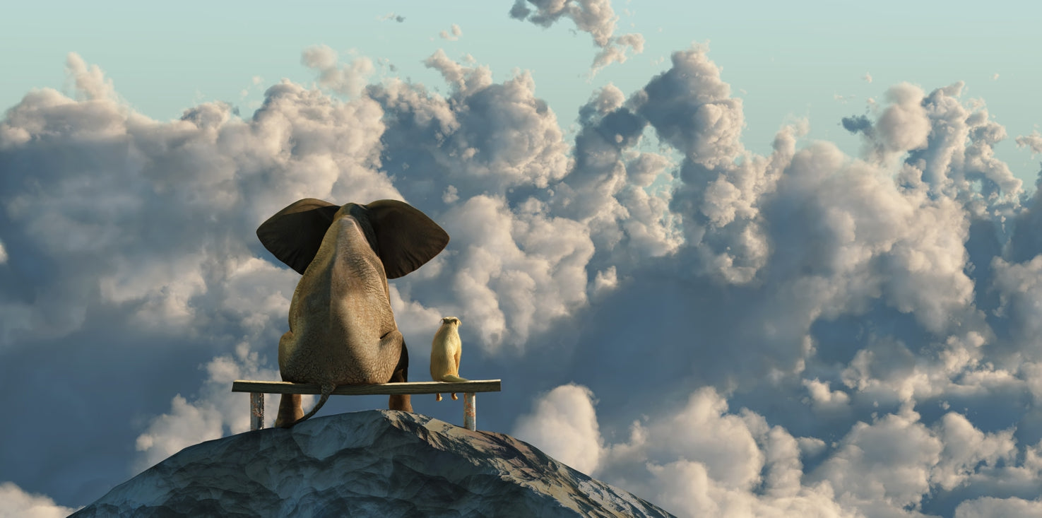 p0156-magnettafel-pinnwand-bild-elefant-hund-gipfel