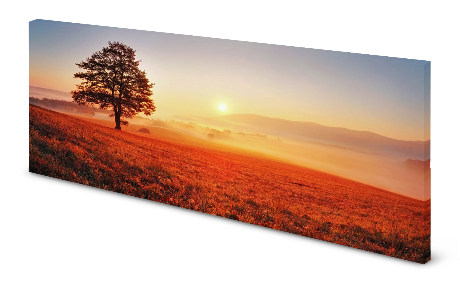 p0169-magnettafel-panorama-bild-baum-herbst-feld9rrmngtfeyeuy