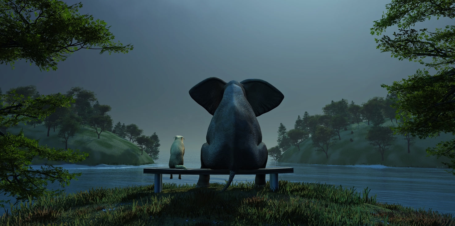 p0201-magnettafel-panorama-bild-elefant-hund-see-abend