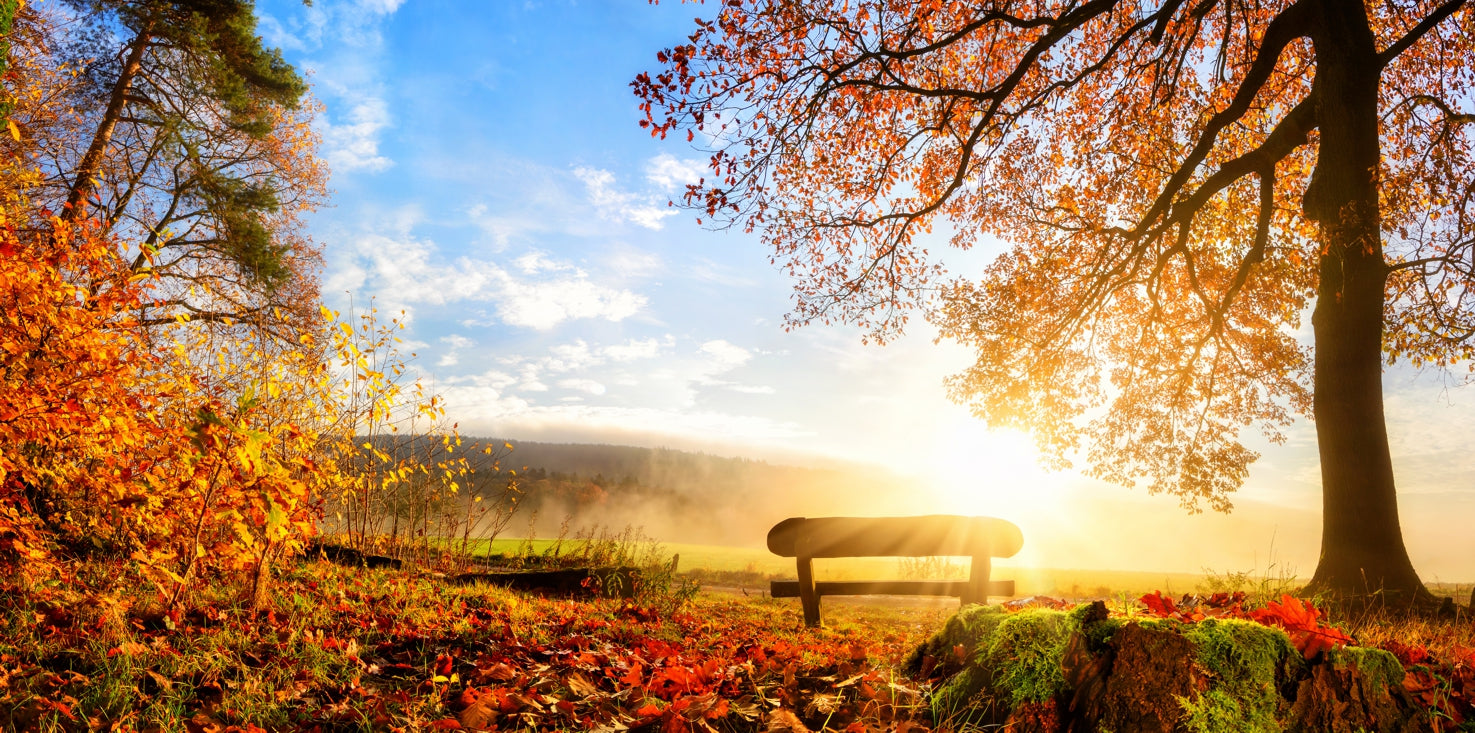 p0218magnettafel-bild-panorama-natur-herbst-bank-ruhesitz