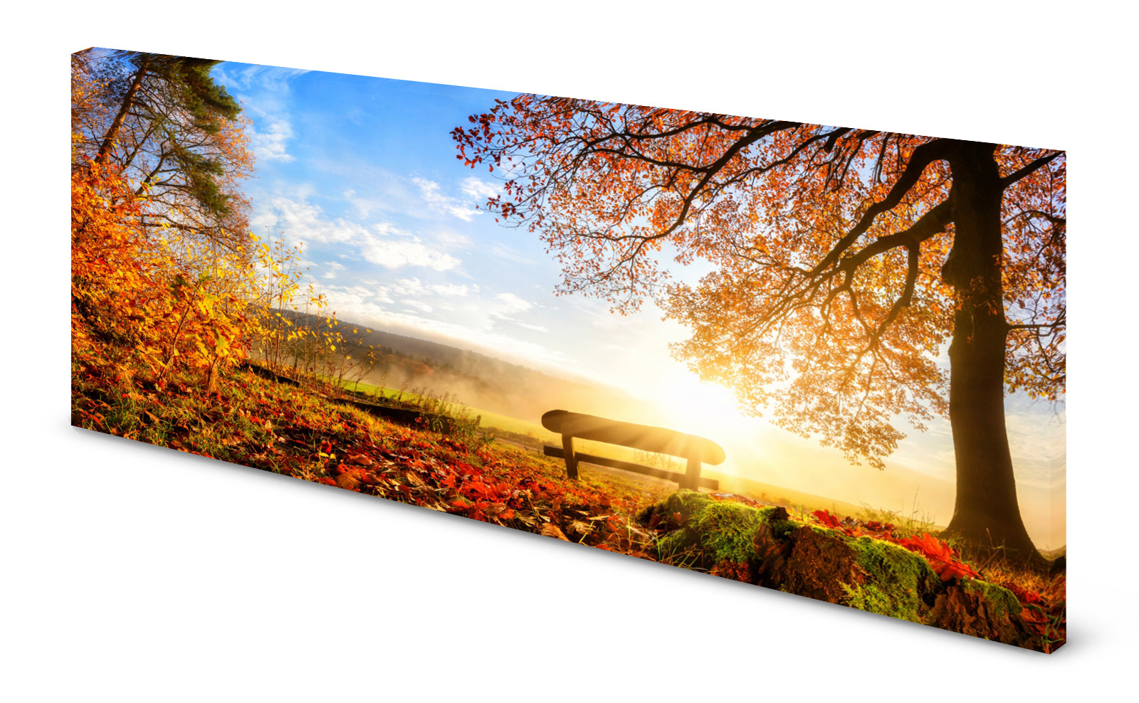 p0218magnettafel-bild-panorama-natur-herbst-bank-ruhesitzkpghory5navoi