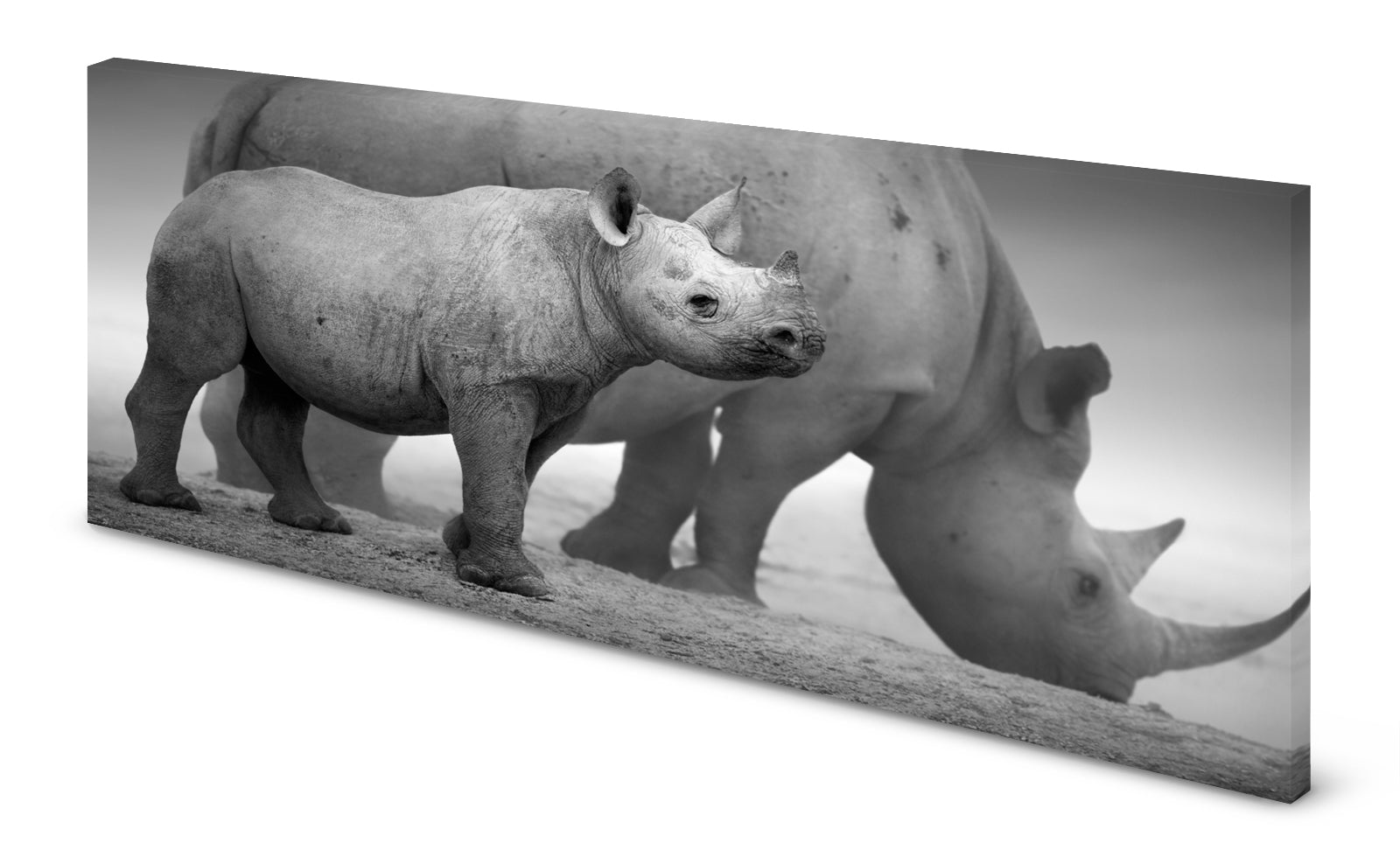 p0220-sw-magnettafel-bild-panorama-nashorn-babygrem58shpffth