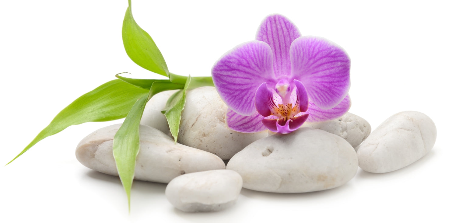 p0226-magnettafel-bild-panorama-orchidee-steine-weiss-zen-pink