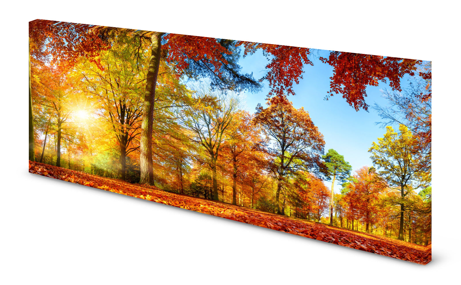 p0257-magnettafel-panorama-bild-wald-herbst-indian-summer9eaqp6zljn2kg