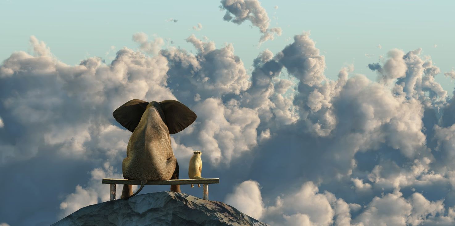 p0266-magnettafel-panorama-bild-elefant-hund-bergspitze