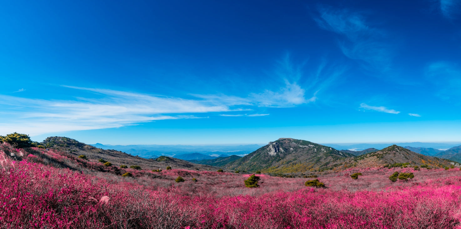 p0276-magnettafel-panorama-bild-korea-bisemulscher-nationalpark