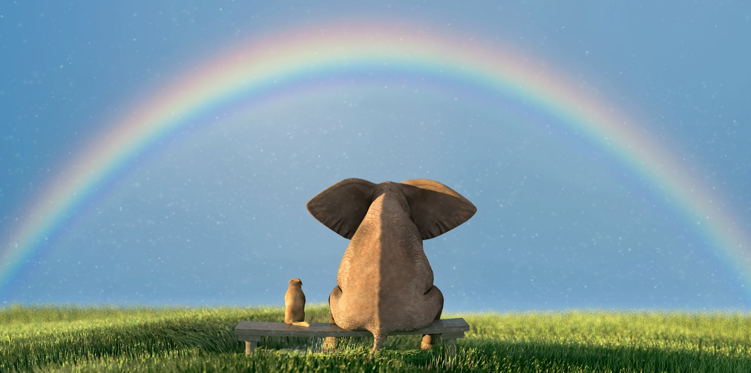 p0290-magnettafel-panorama-bild-elefant-hund-freundschaft-regenbogen