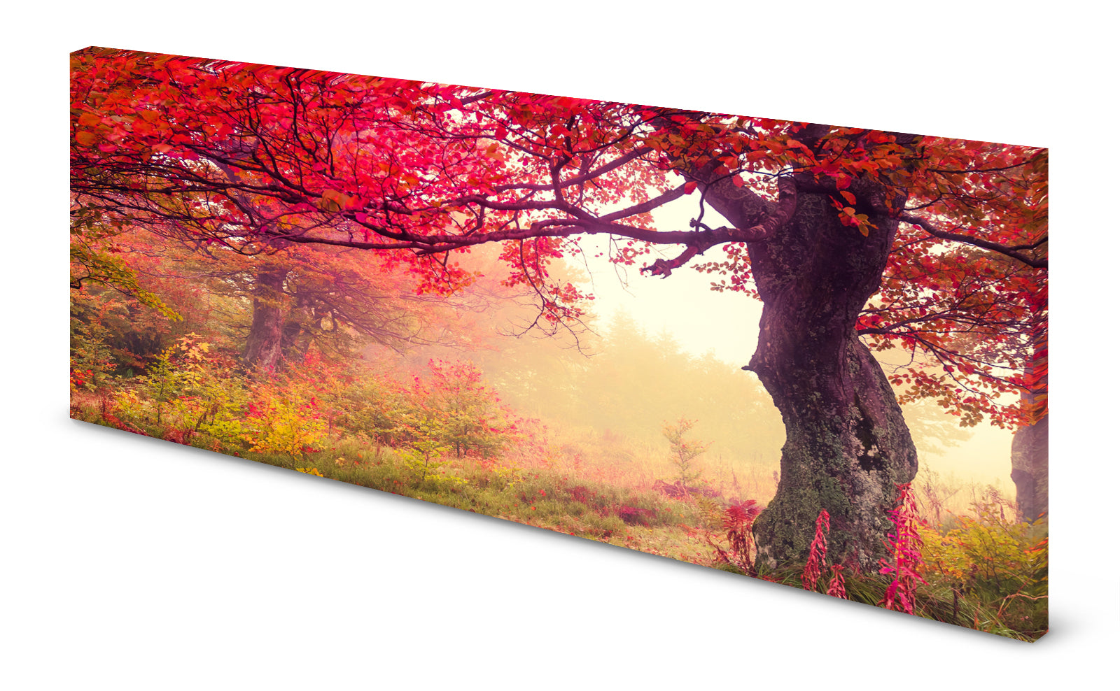 p0308-magnettafel-panorama-bild-natur-herbst-baum-roteg2hn7xzgzqkv