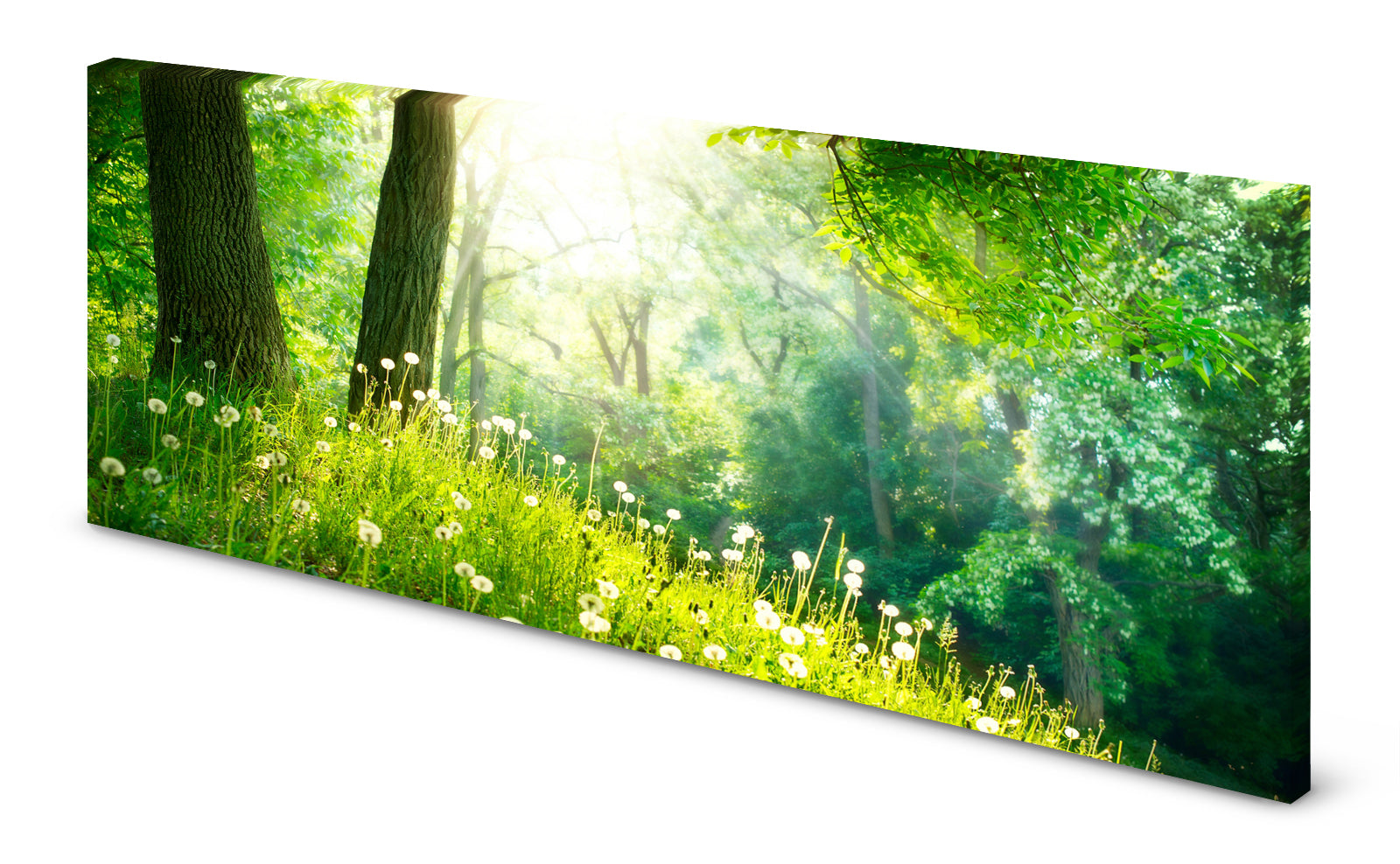 p0309-magnettafel-panorama-bild-walld-wiese-lichtungdm3t5ed6wl0dh