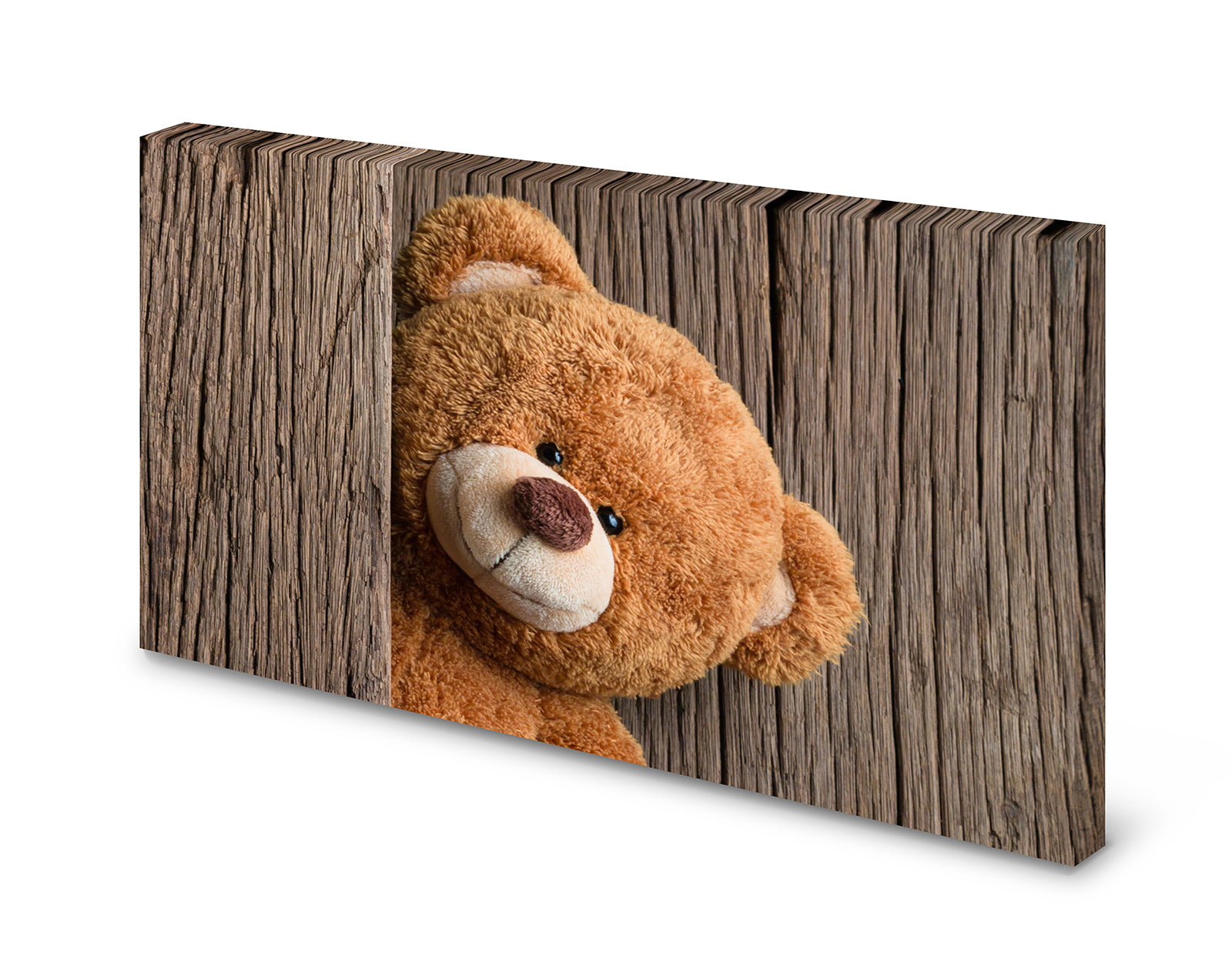 pn0020_60x40-pinnwand-magnettafel-teddy8t35gje3pgskl