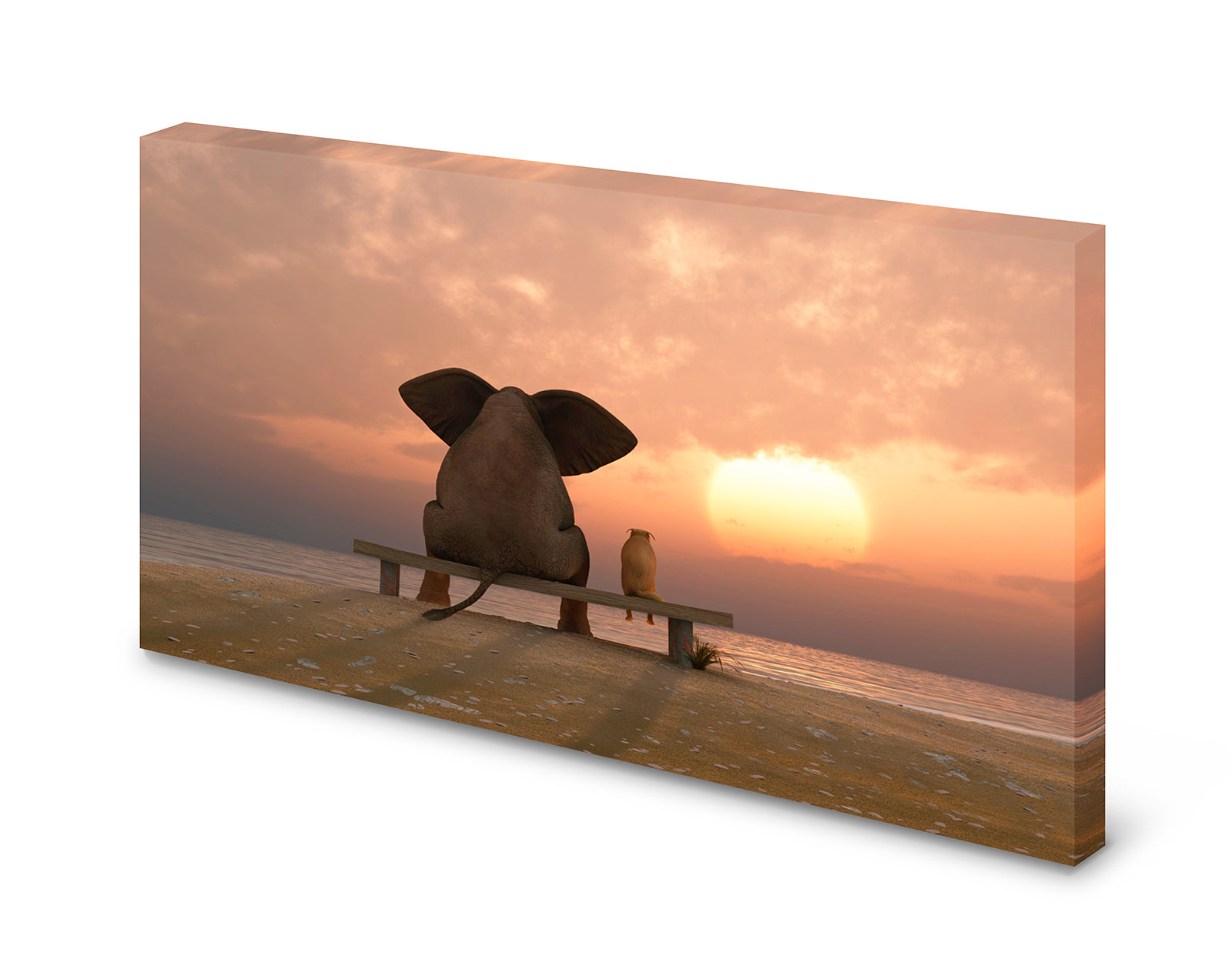 pn0034_60x40-pinnwand-magnettafel-hund-elefant-freundschaftzqghphuzarmoe