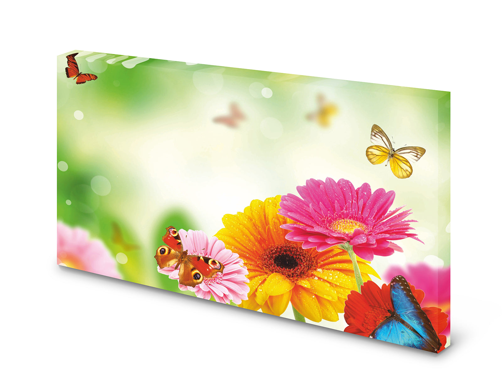 pn0056_60x40-magnettafel-pinnwand-bunte-blumen-schmetterlingcj4tvtbmmdjr8