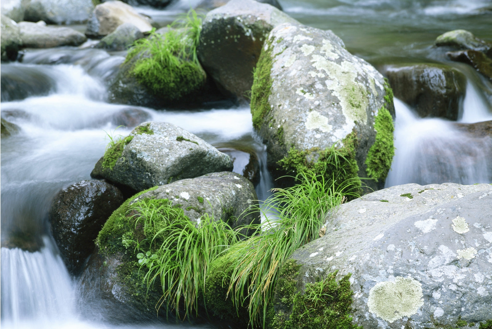 pn0122-magnettafel-pinnwand-leben-in-fluss