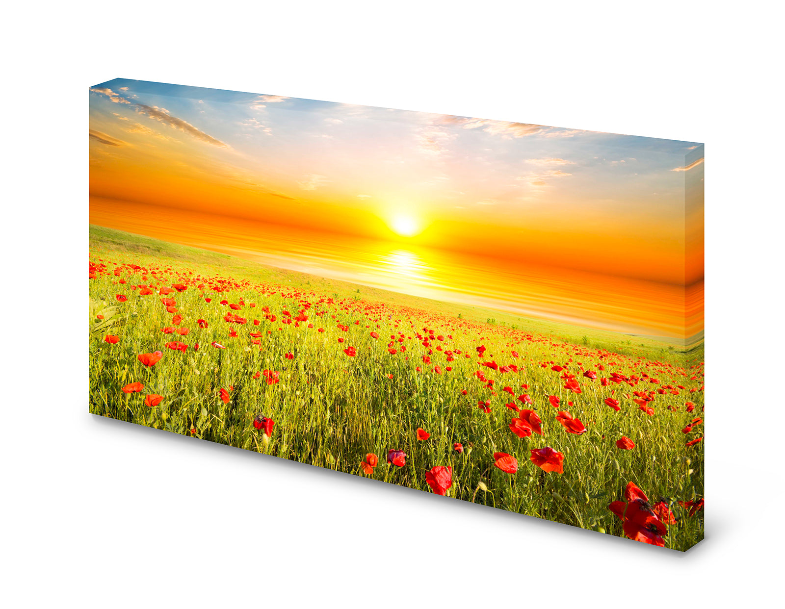 pn0130-magnettafel-pinnwand-mohnblumen-feld-sonnenaufgangat8srmy7przpy