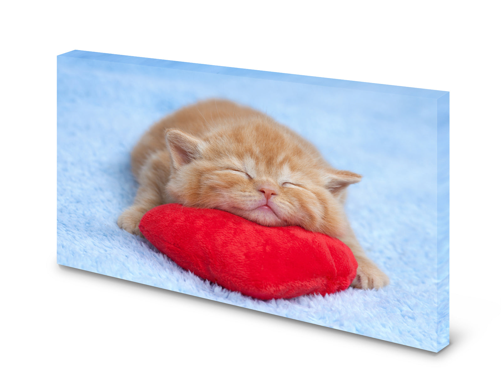 pn0184-magnettafel-pinnwand-kitten96wudhqecwele