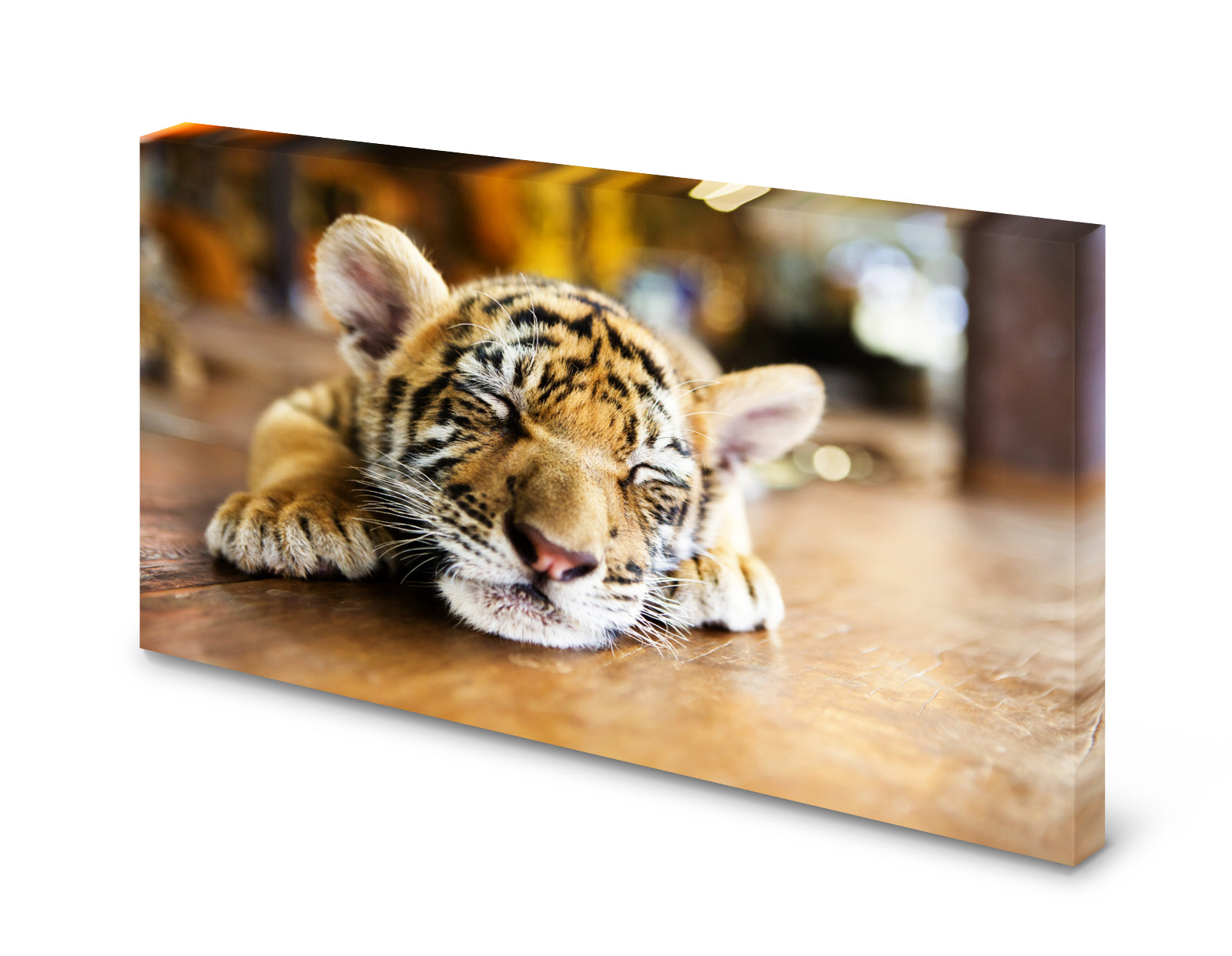 pn0192-magnettafel-pinnwand-tiger-babywtiuhczjpwlay