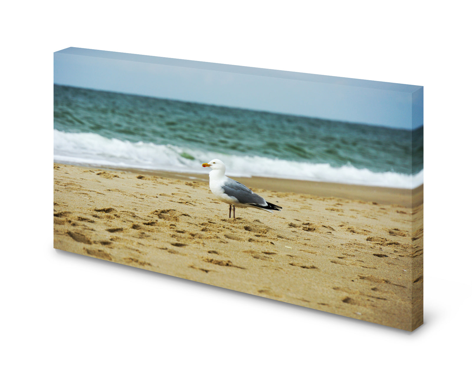 pn0234-60x40-magnettafel-pinnwand-bild-strand-moewehpoijwl77dy5w