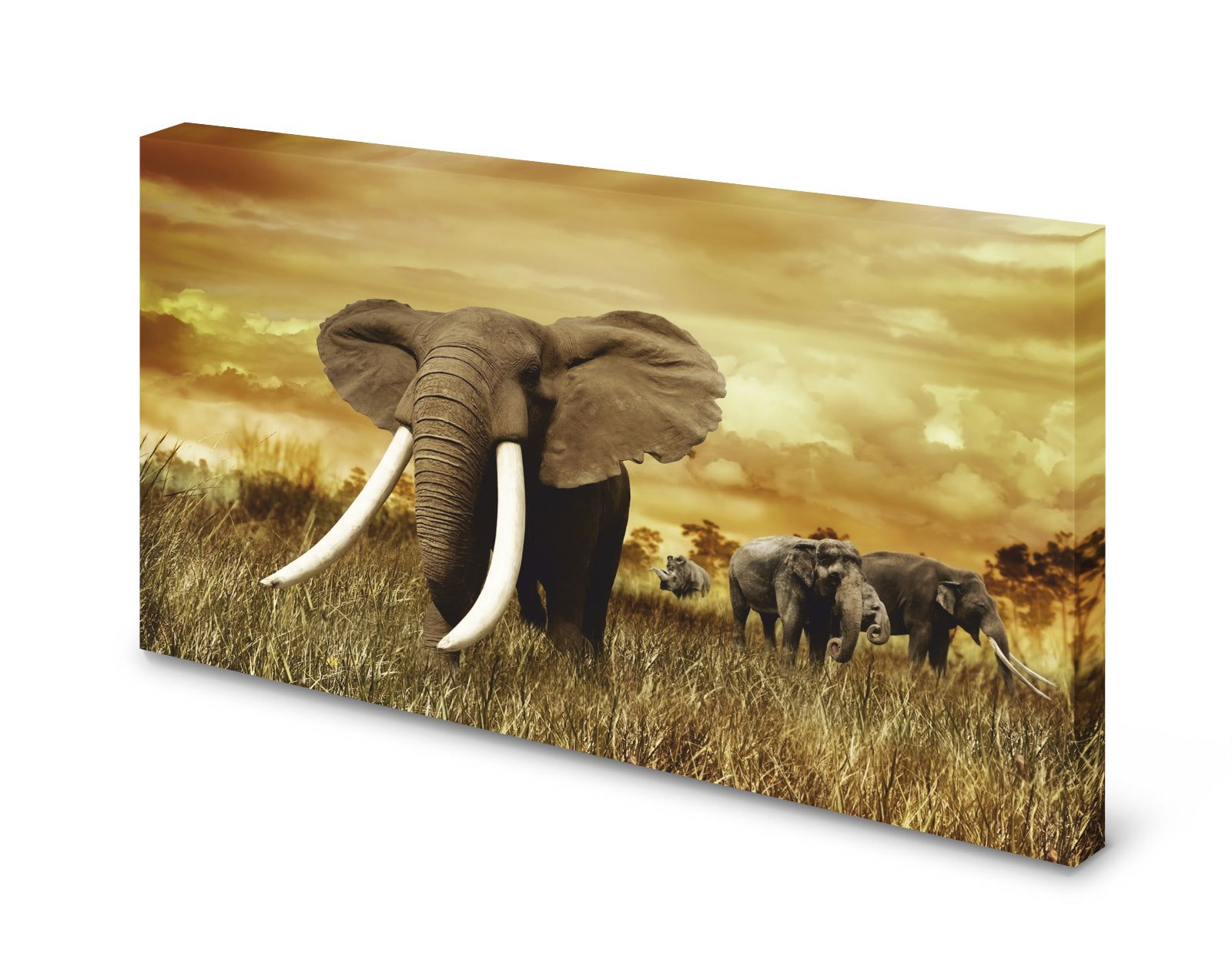 pn0248-60x40-magnettafel-pinnwand-bild-elefant-stosszahnm4pzqv6rsm65a