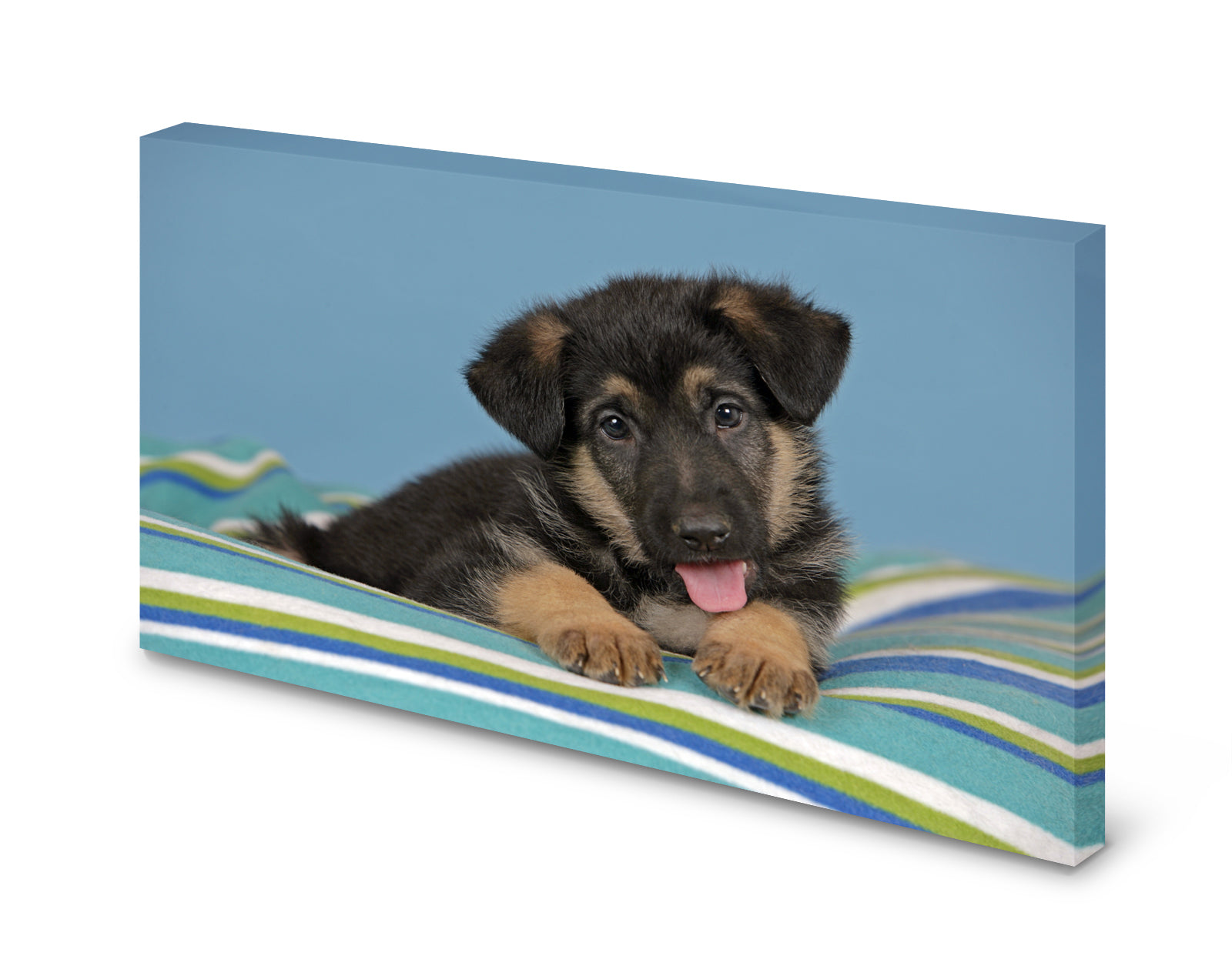 pn0281-60x40-magnettafel-pinnwand-bild-hund-welpe3rpzujirvptth