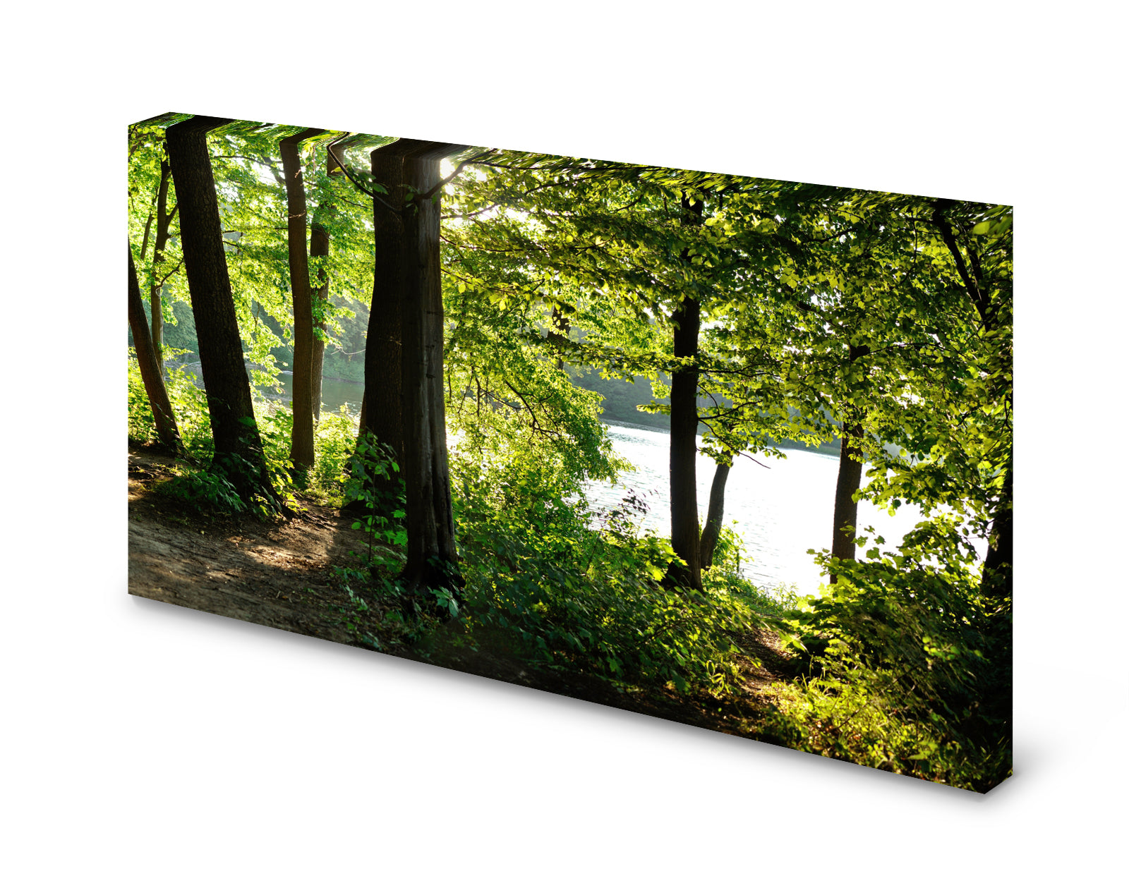 pn0294-60x40-magnettafel-pinnwand-bild-wald-see-moellnoesnle16r5gg9