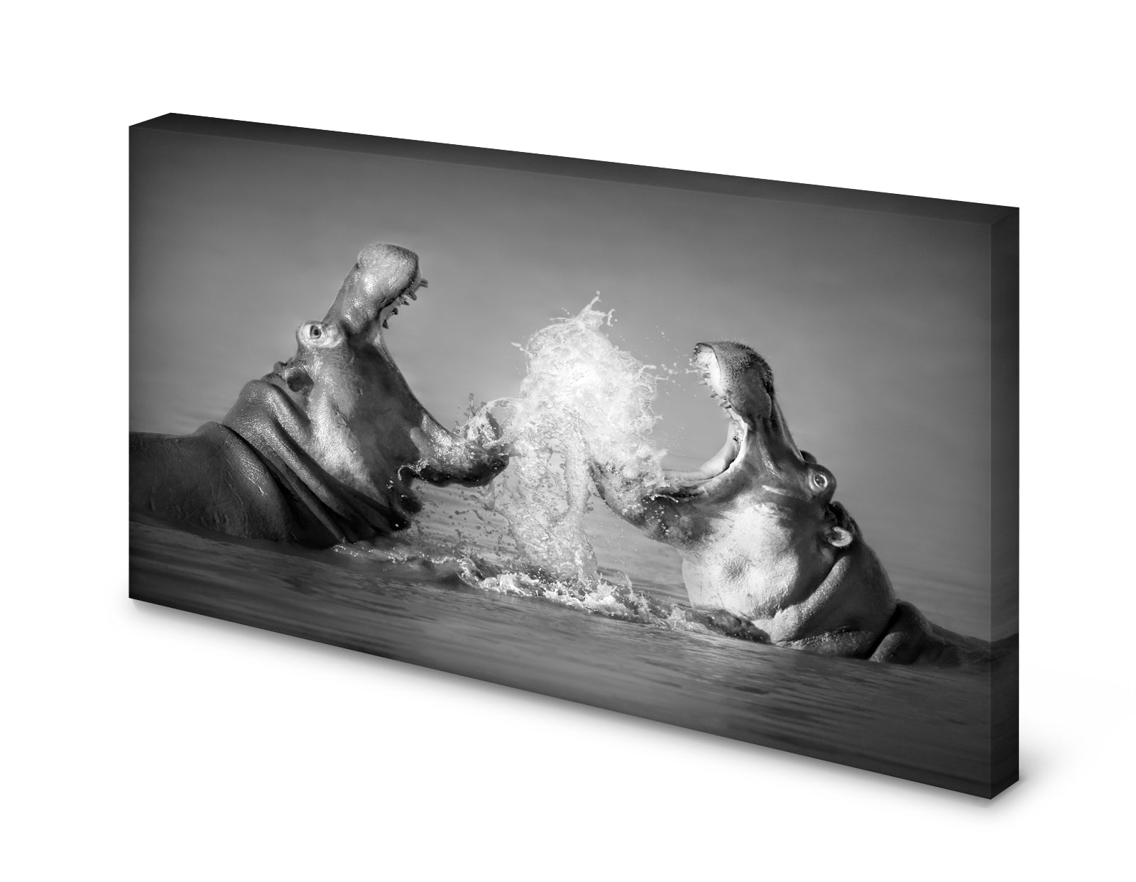 pn0300-60x40-magnettafel-pinnwand-bild-nielpferd-hippoafcna8wxa0j8f