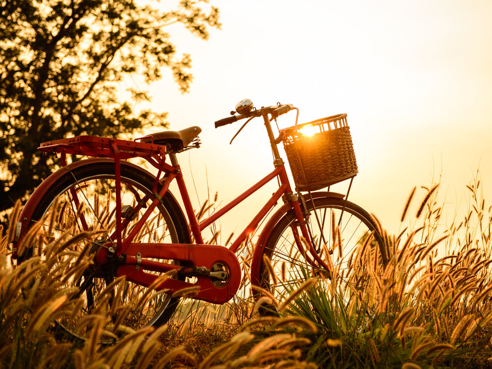 tap0531-100x750-vlies-tapete-fototapete-natur-fahrrad-kornfeld