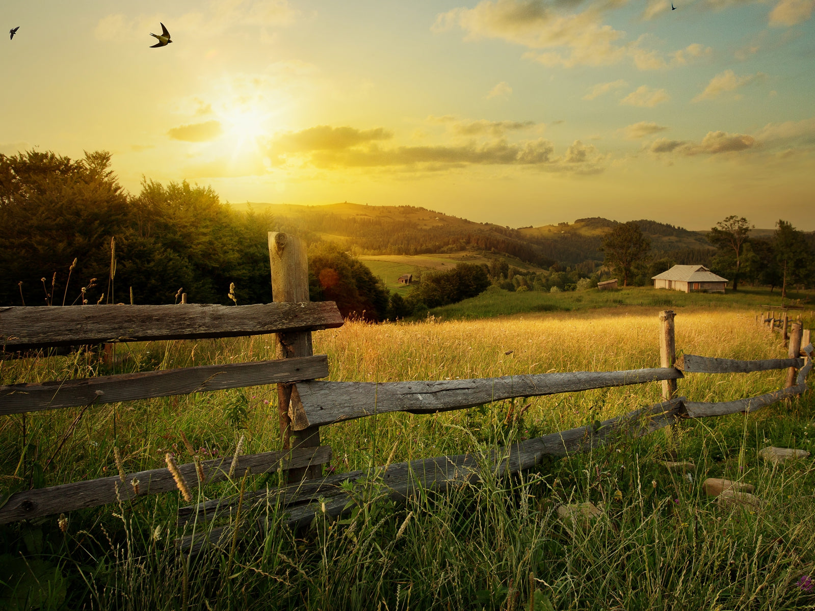 tap0541-100x750-vlies-tapete-fototapete-feldweg-feld-landschaft